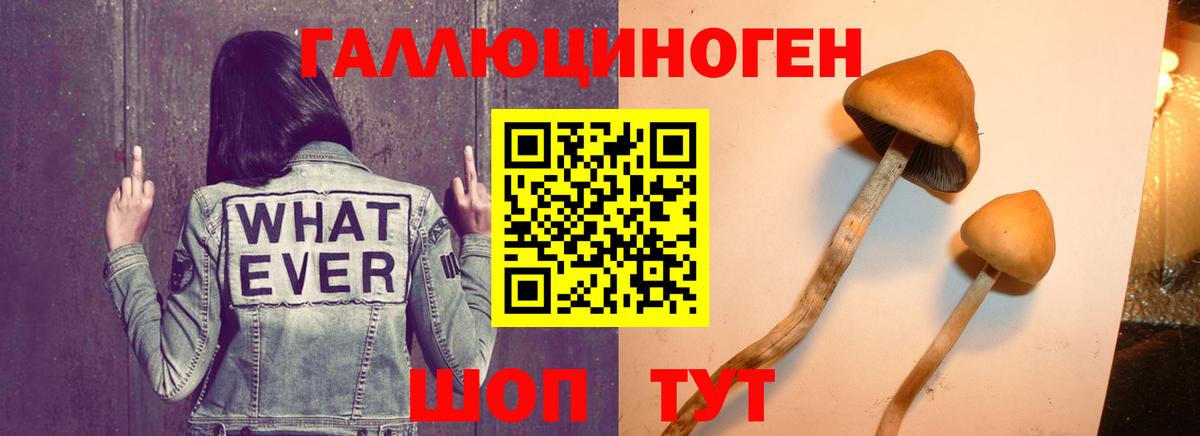 Псилоцибиновые грибы Cubensis  Вход с VPN  Орёл 
